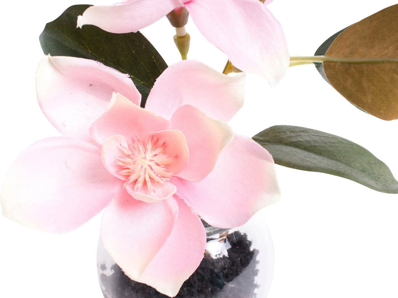Botanic-Haus Kunstblume »Magnolie im bestellen Glas« bequem