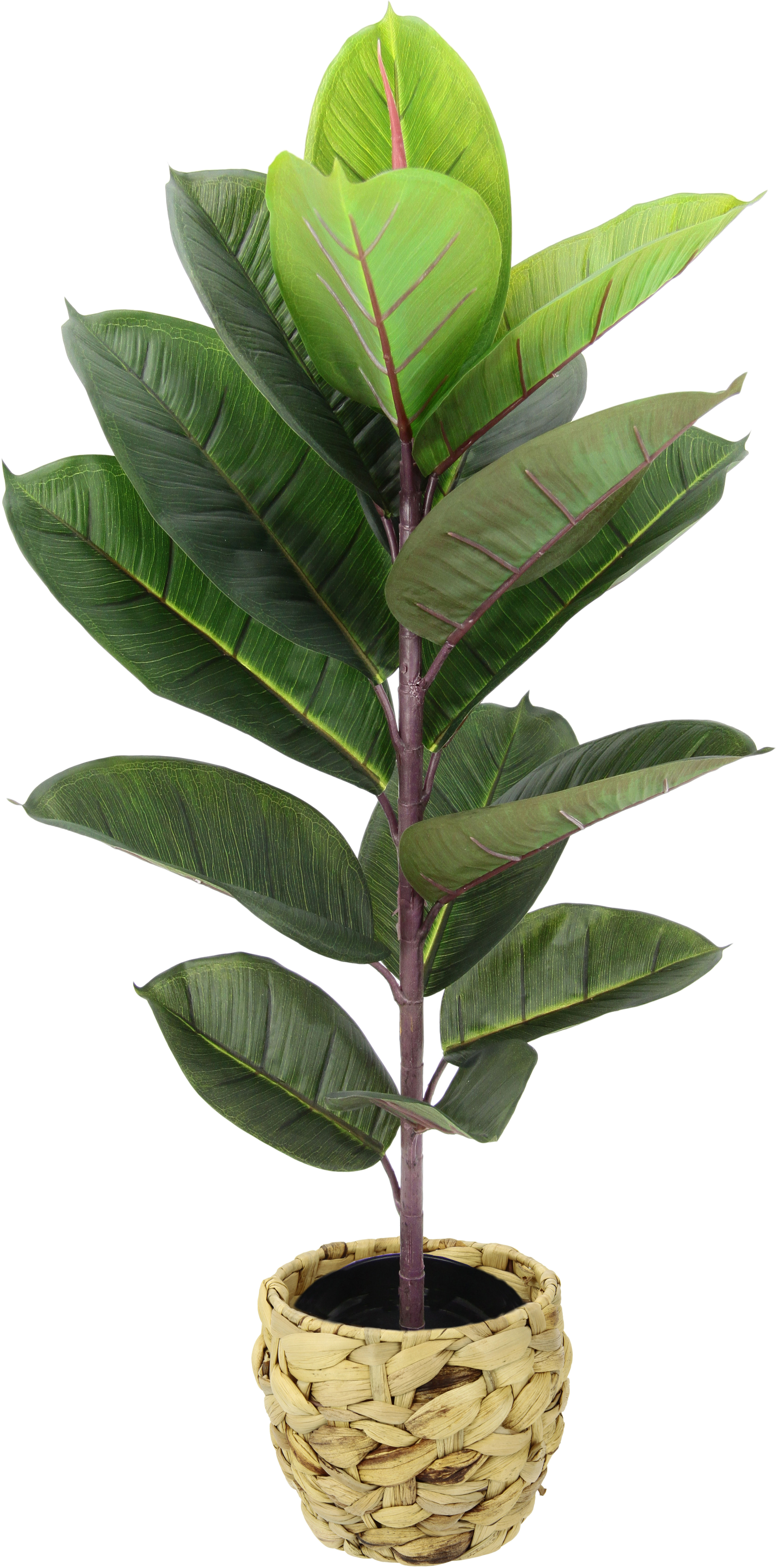 Kunstbaum »Gummibaum«, Mit Übertopf, Ficus Elastica