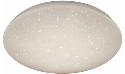 TRIO Leuchten LED Deckenleuchte »JENNY«, LED-Board, LED Deckenlampe kaufen