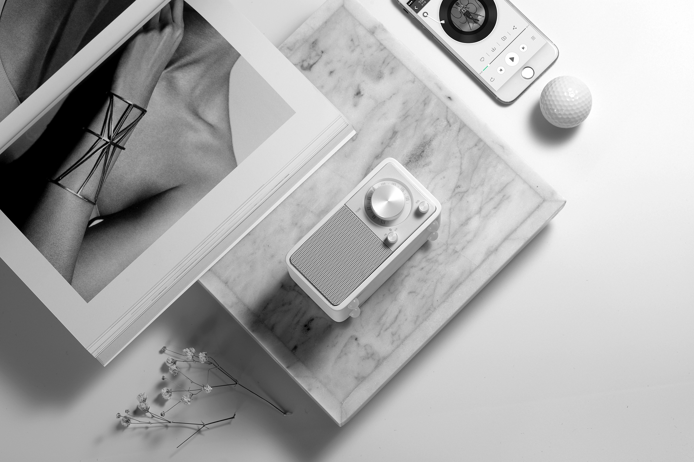 Sangean Radio »Genuine Mini WR-7« (Bluetooth FM-Tuner )