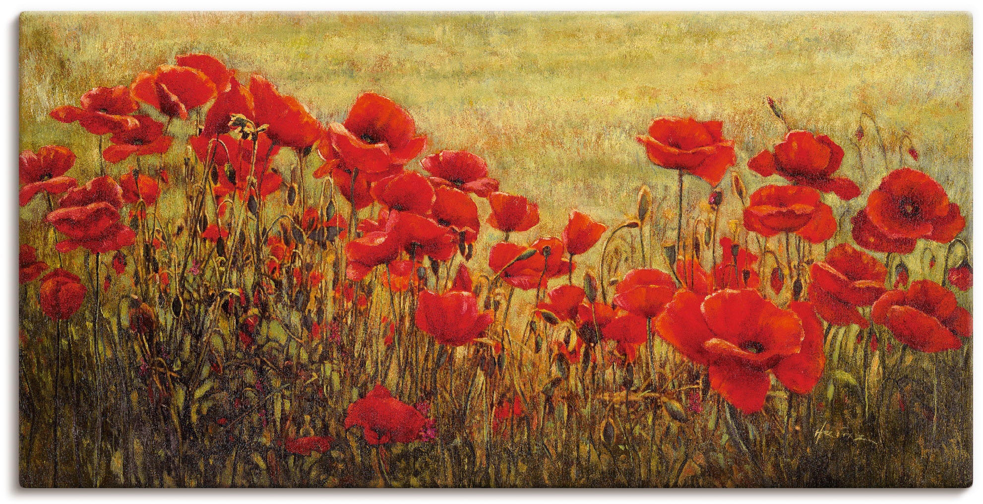 Artland Wandbild »Mohnfeld«, Blumenwiese, (1 St.), als Alubild, Outdoorbild, Leinwandbild in verschied. Größen