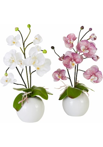 Kunstpflanze »Orchidee«