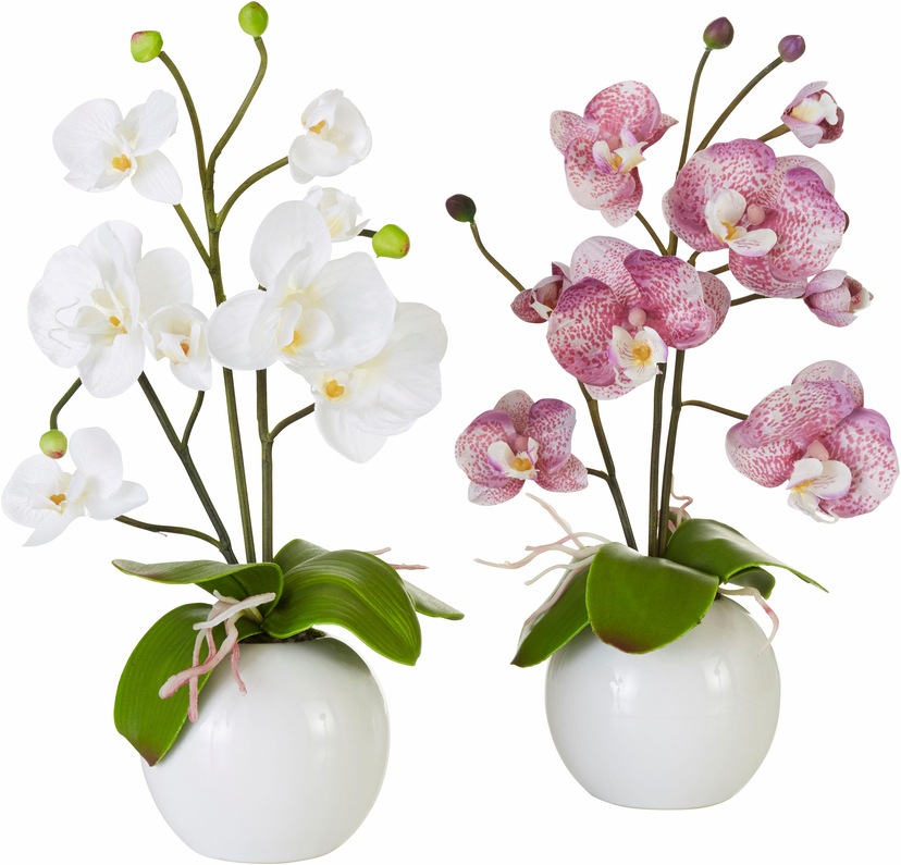 Arrangement im bestellen Zimmerpflanze Raten auf Korb« »Lavendel Künstliche - Botanic-Haus Erika