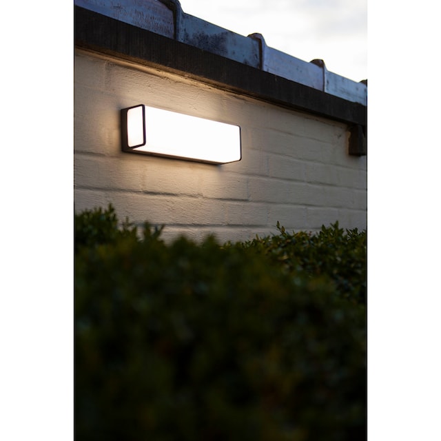 LUTEC LED Außen-Wandleuchte »DOBLO« online kaufen | mit 3 Jahren XXL  Garantie