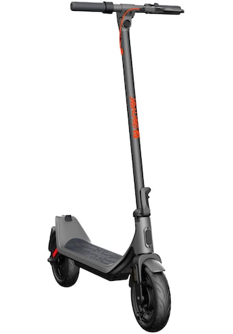 E-Scooter »DONAR Pro SEL-10860«, 20 km/h, 30 km