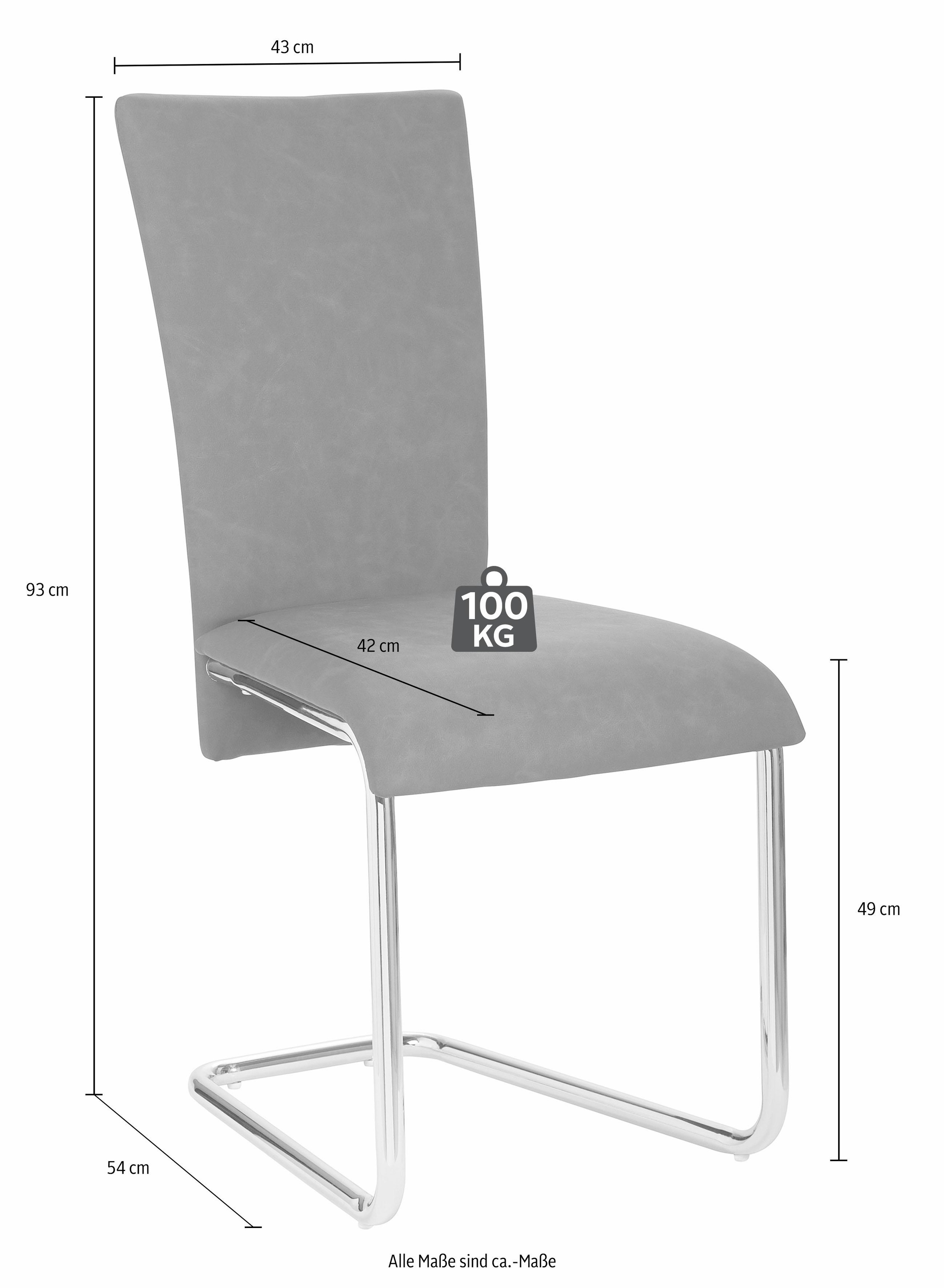 Homexperts Esszimmerstuhl »Mulan«, (Set), 2 St., Kunstleder, Bezug in Kunstleder