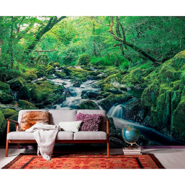 Komar Vliestapete »Hefele Green tales«, naturalistisch, 400x250 cm (Breite  x Höhe), Vliestapete, 100 cm Bahnbreite online kaufen | mit 3 Jahren XXL  Garantie