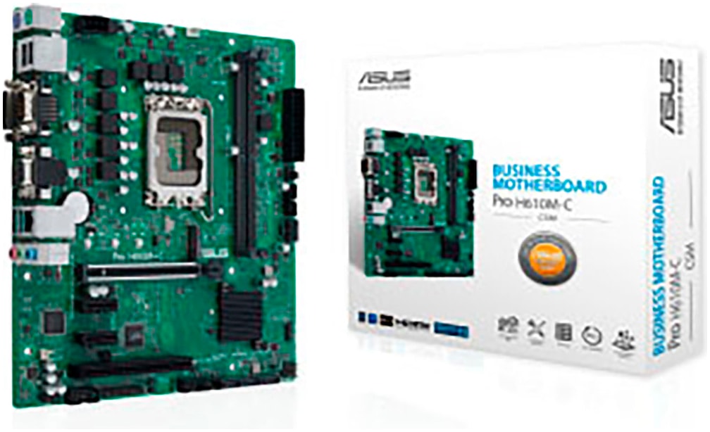 Mainboard »Pro H610M-C-CSM«