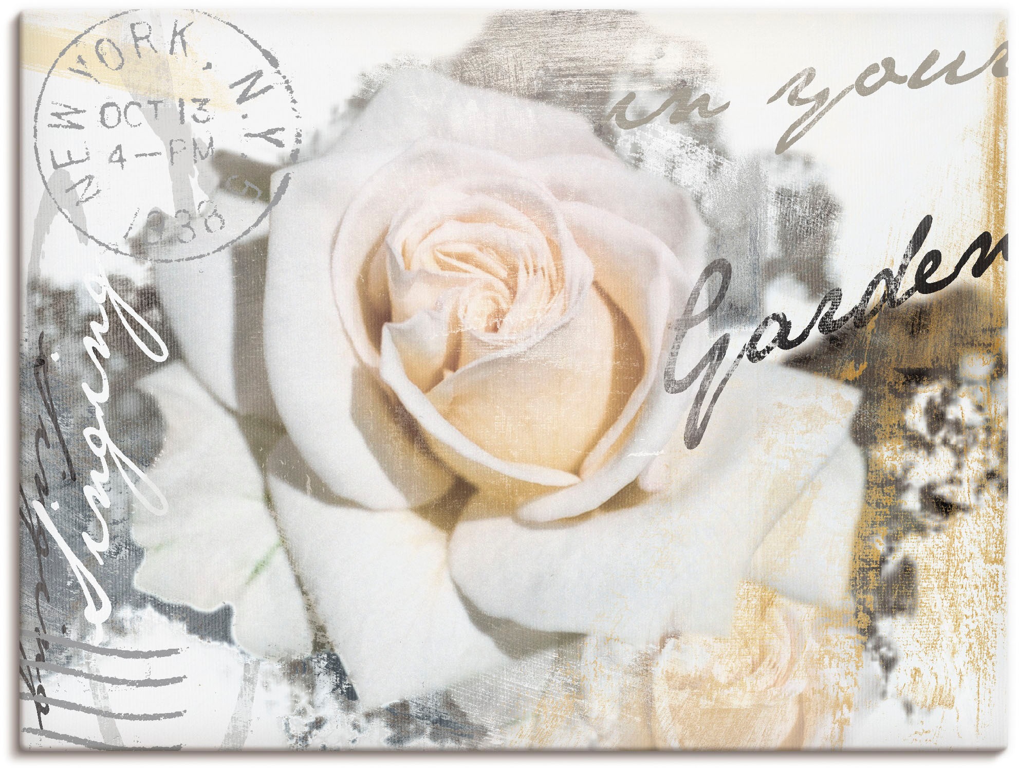 Artland Wandbild »In Buchstaben - Rose«, Blumen, (1 St.), als Leinwandbild, Poster, Wandaufkleber in verschied. Größen