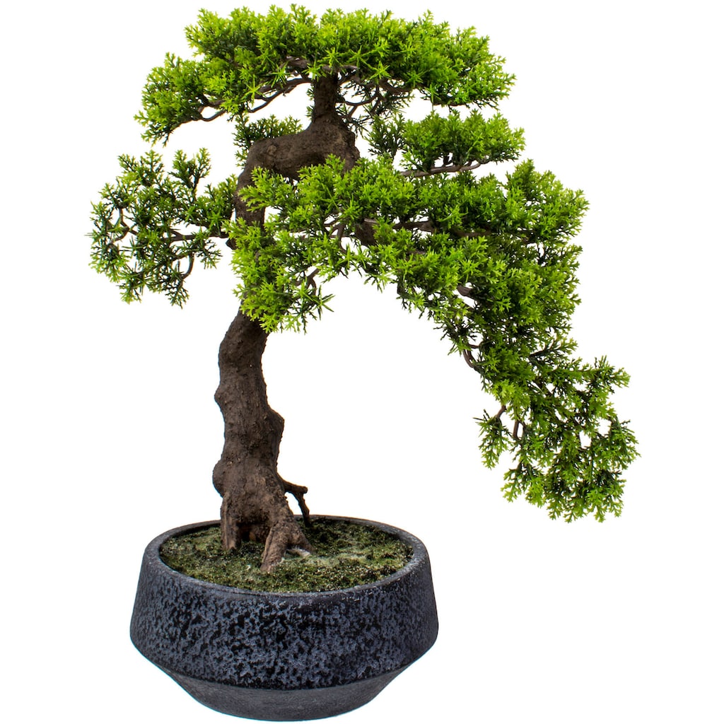 Home affaire Kunstbonsai »Louvenne«