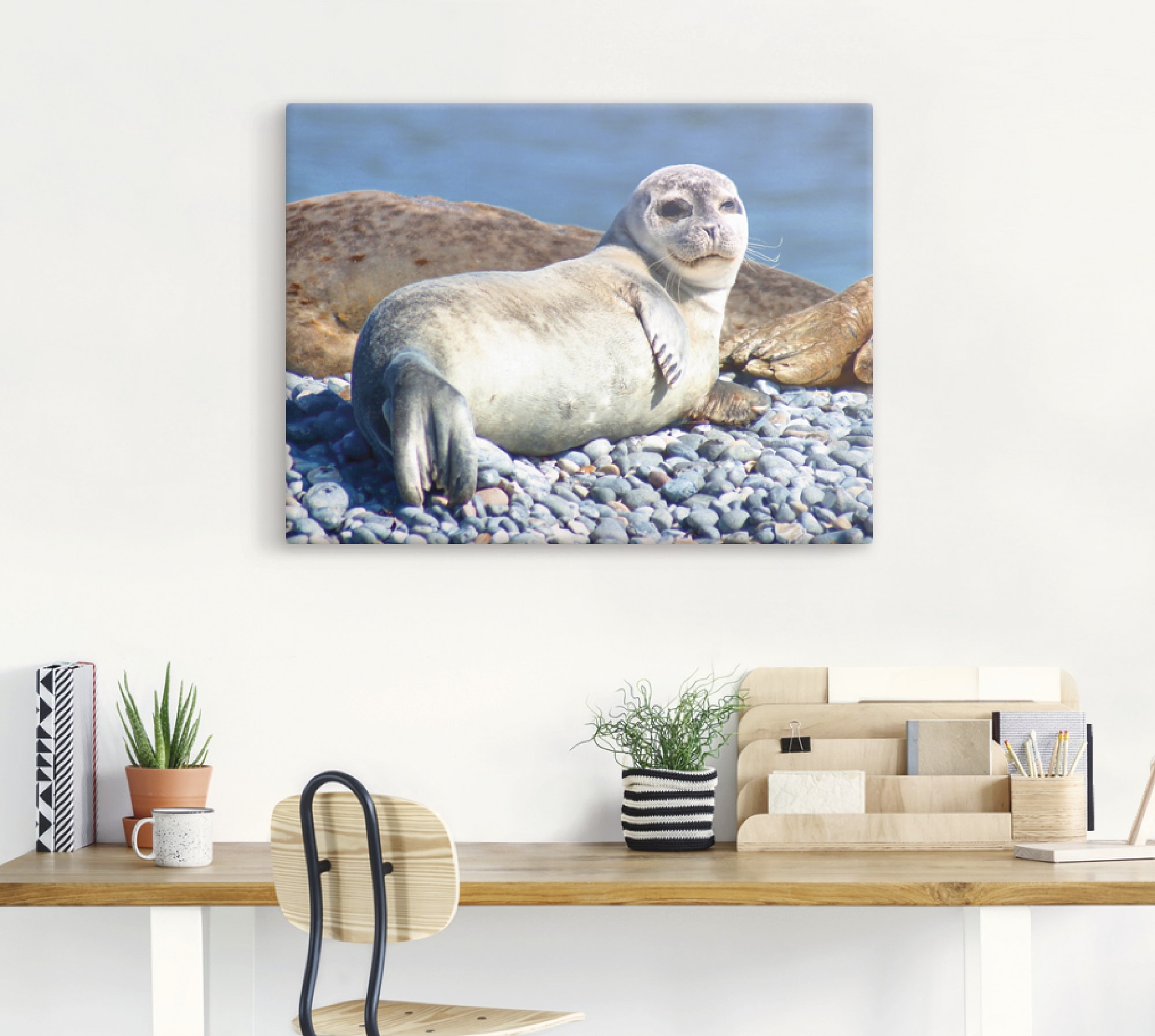 Artland Wandbild »Junger Seehund am Strand von Helgoland«, Wassertiere, (1 St.), als Alubild, Leinwandbild, Wandaufkleber oder Poster in versch. Größen