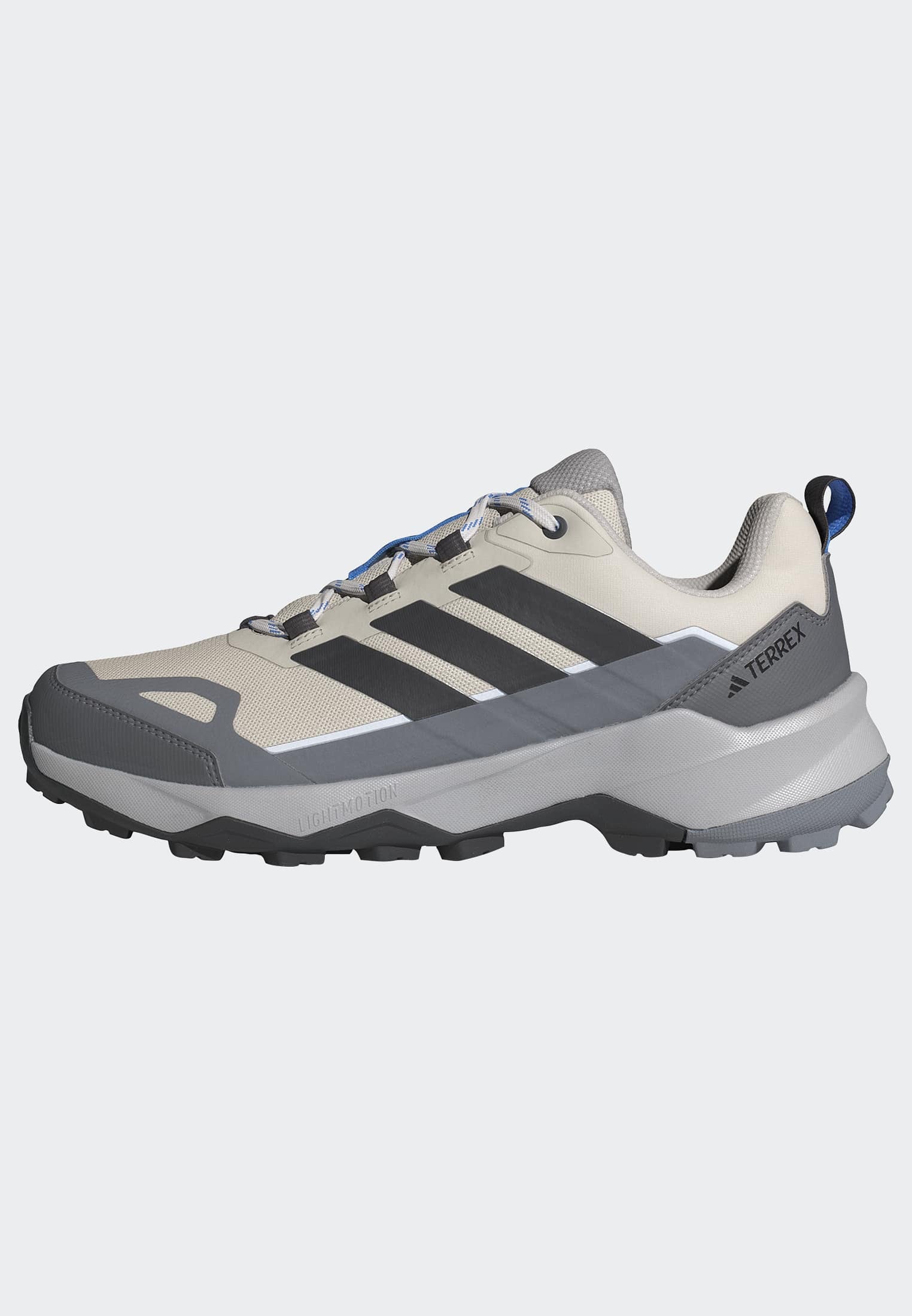 adidas TERREX Wanderschuh »TERREX SKYCHASER AX5«