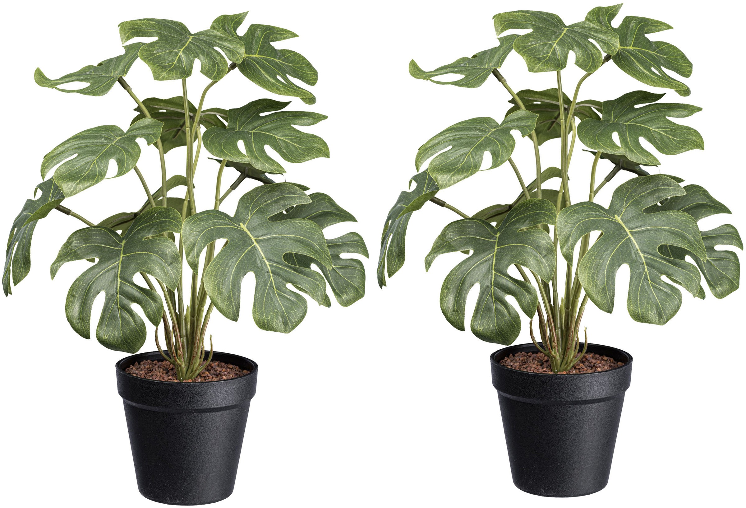 Creativ green Künstliche Zimmerpflanze »Splitphilodendron«, mit schönen Blättern