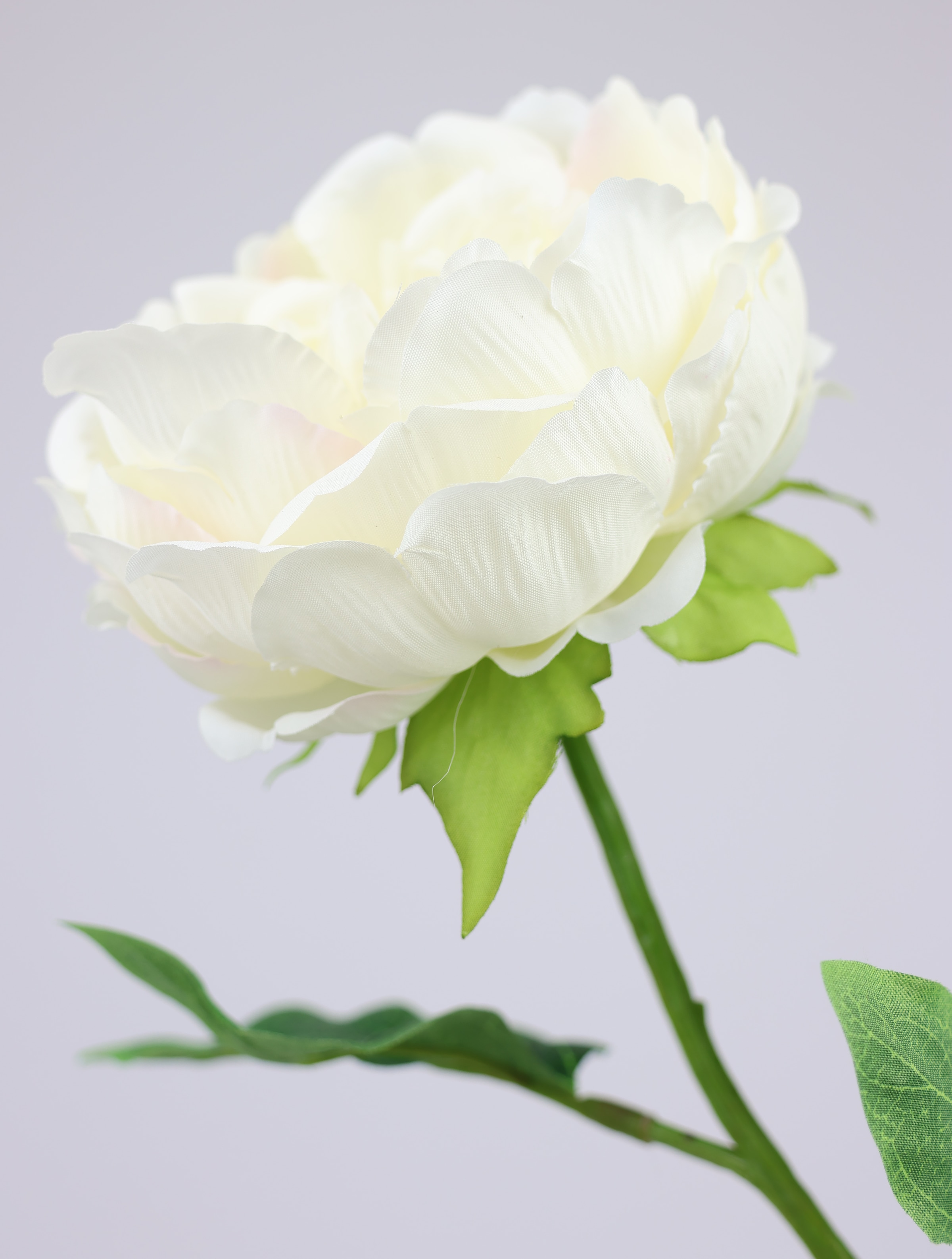 I.GE.A. Kunstblume »Päonie Bauernrose«, Pfingstrosen Einzelblume, 3er Set