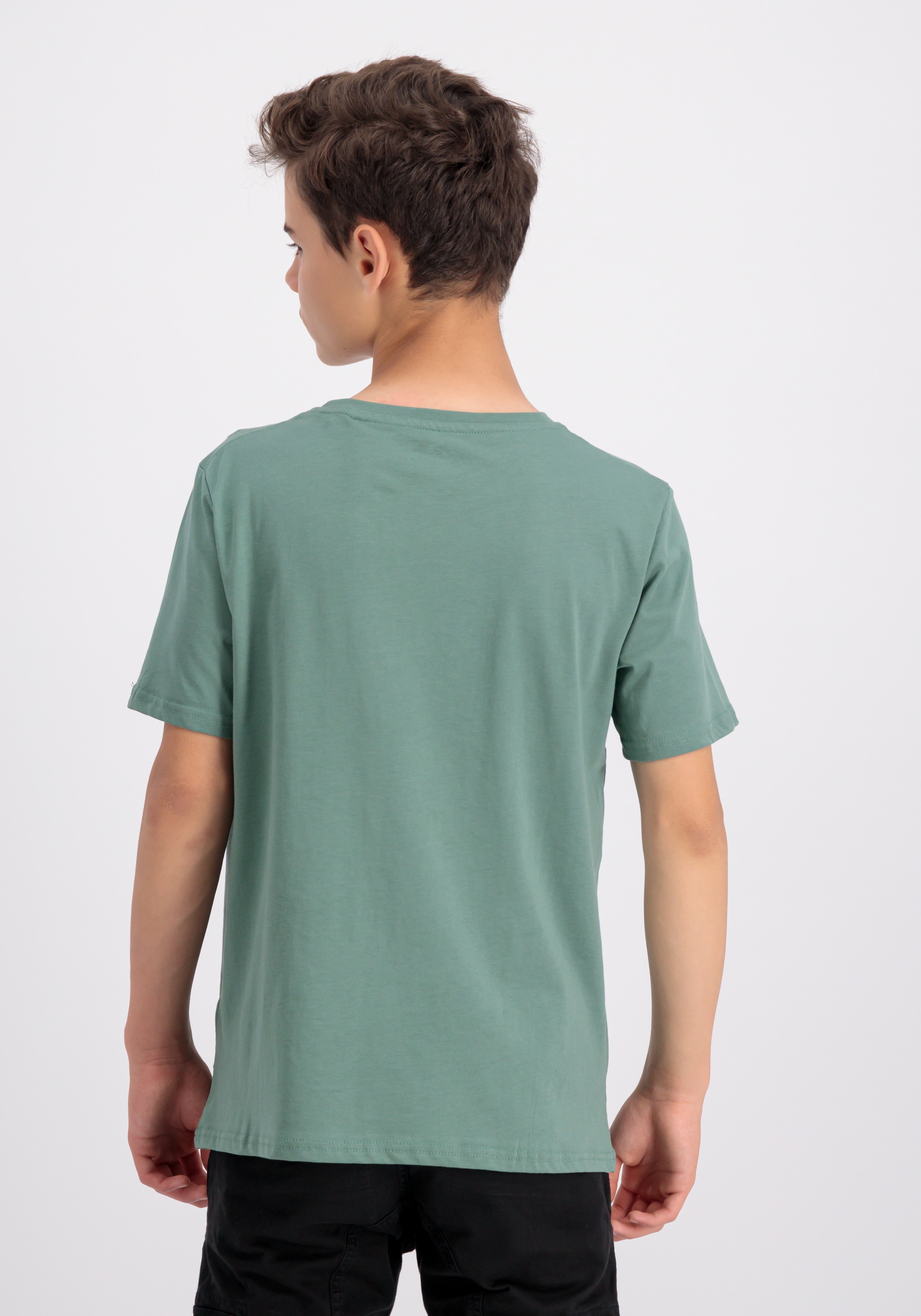 Alpha Industries T-Shirt »Basic T-Shirt BL K«