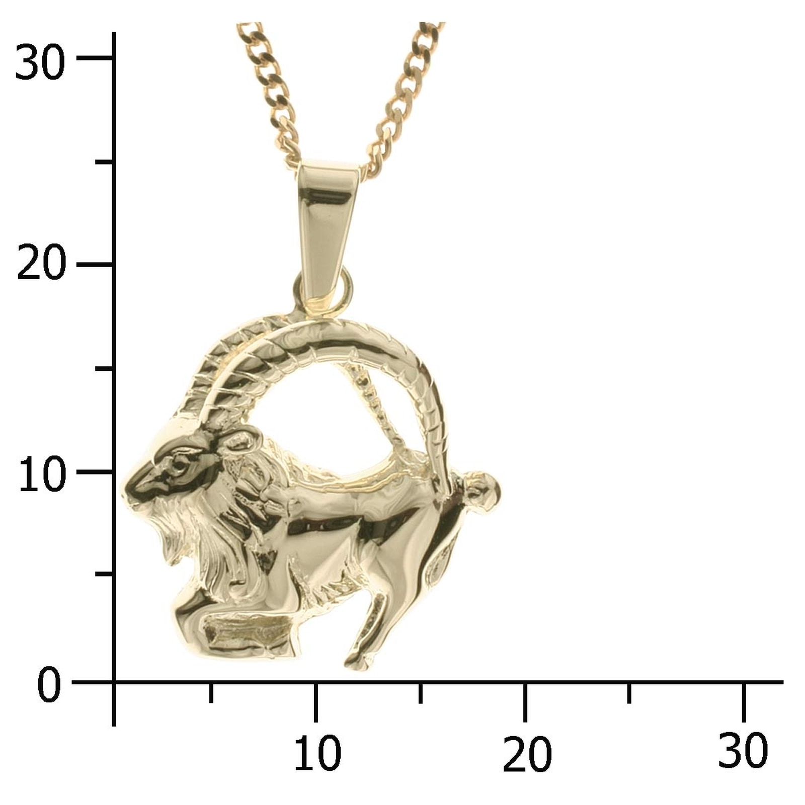 OSTSEE-SCHMUCK Kette und Anhänger Set »- Tierkreiszeichen Steinbock - Gold 333/000 -,«