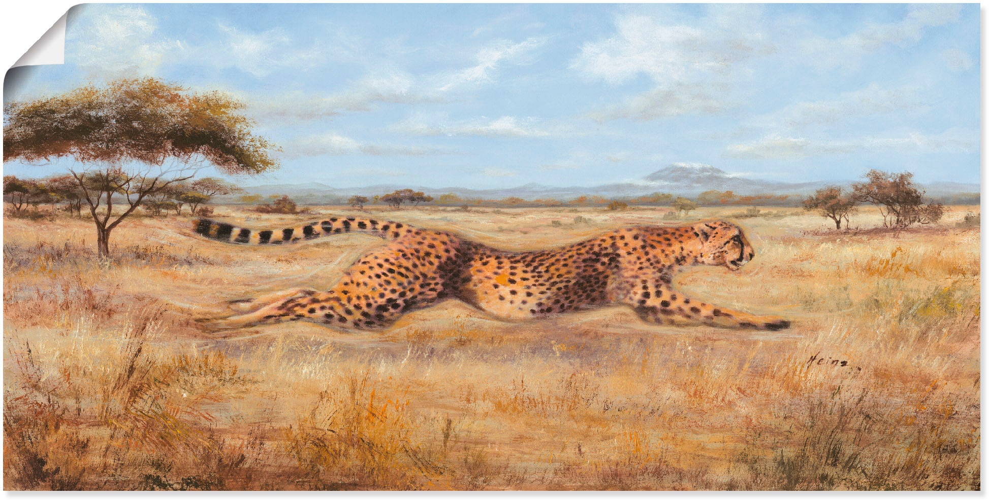 Artland Wandbild »Laufender Gepard«, Wildtiere, (1 St.), als Alubild,  Leinwandbild, Wandaufkleber oder Poster in versch. Größen auf Raten kaufen