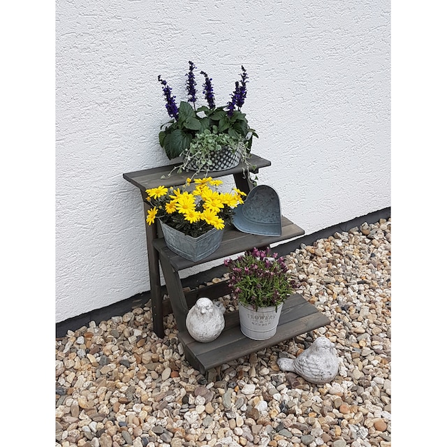 promadino Pflanzentreppe »Blumentreppe klein, grau«, BxTxH: 50x60x56 cm  online kaufen | mit 3 Jahren XXL Garantie
