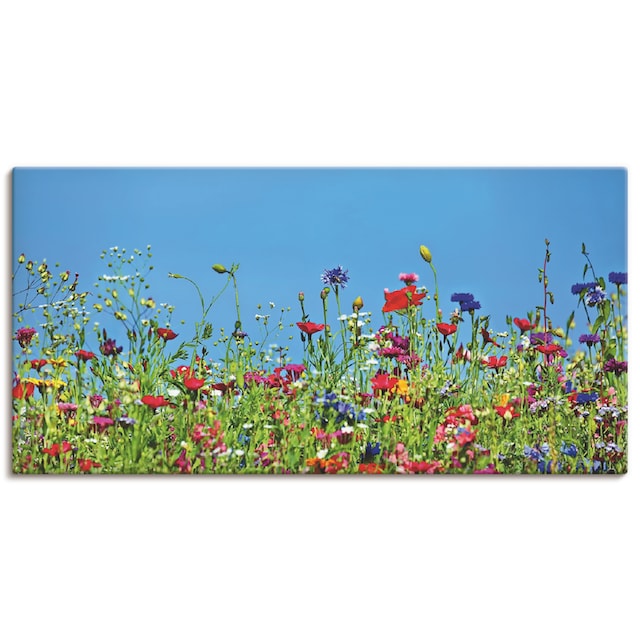 Artland Wandbild »Blumenwiese II«, Blumenwiese, (1 St.), als Alubild,  Leinwandbild, Wandaufkleber oder Poster in versch. Größen auf Rechnung  kaufen