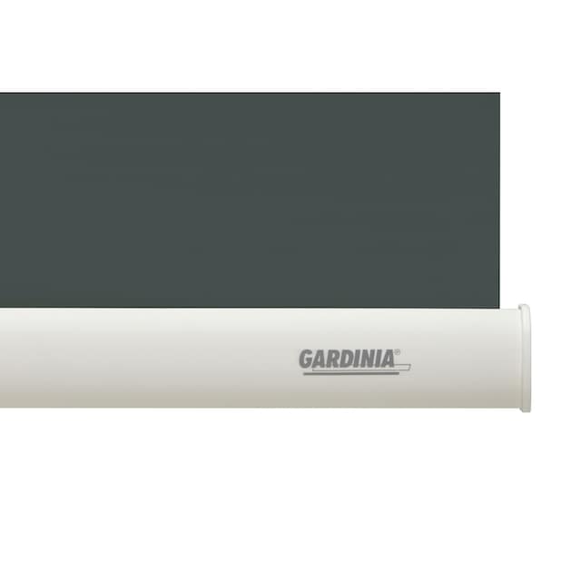 GARDINIA Seitenzugrollo »Uni-Rollo Abdunklung«, verdunkelnd, Abschlussprofil  in weiß online kaufen | mit 3 Jahren XXL Garantie