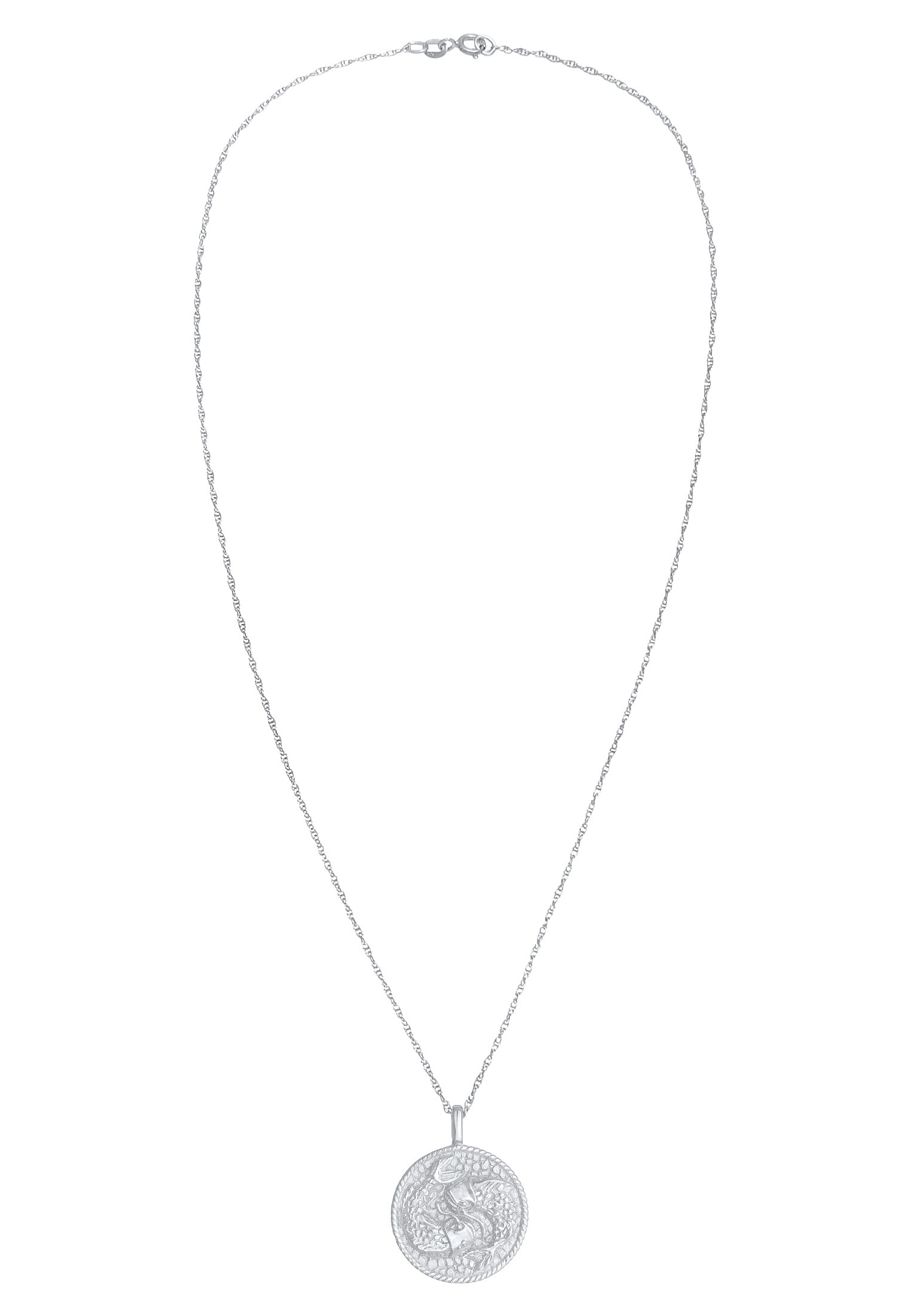 Elli Kette mit Anhänger »Halskette Sternzeichen Fisch Zodiac Astro Münze 925 Silber«