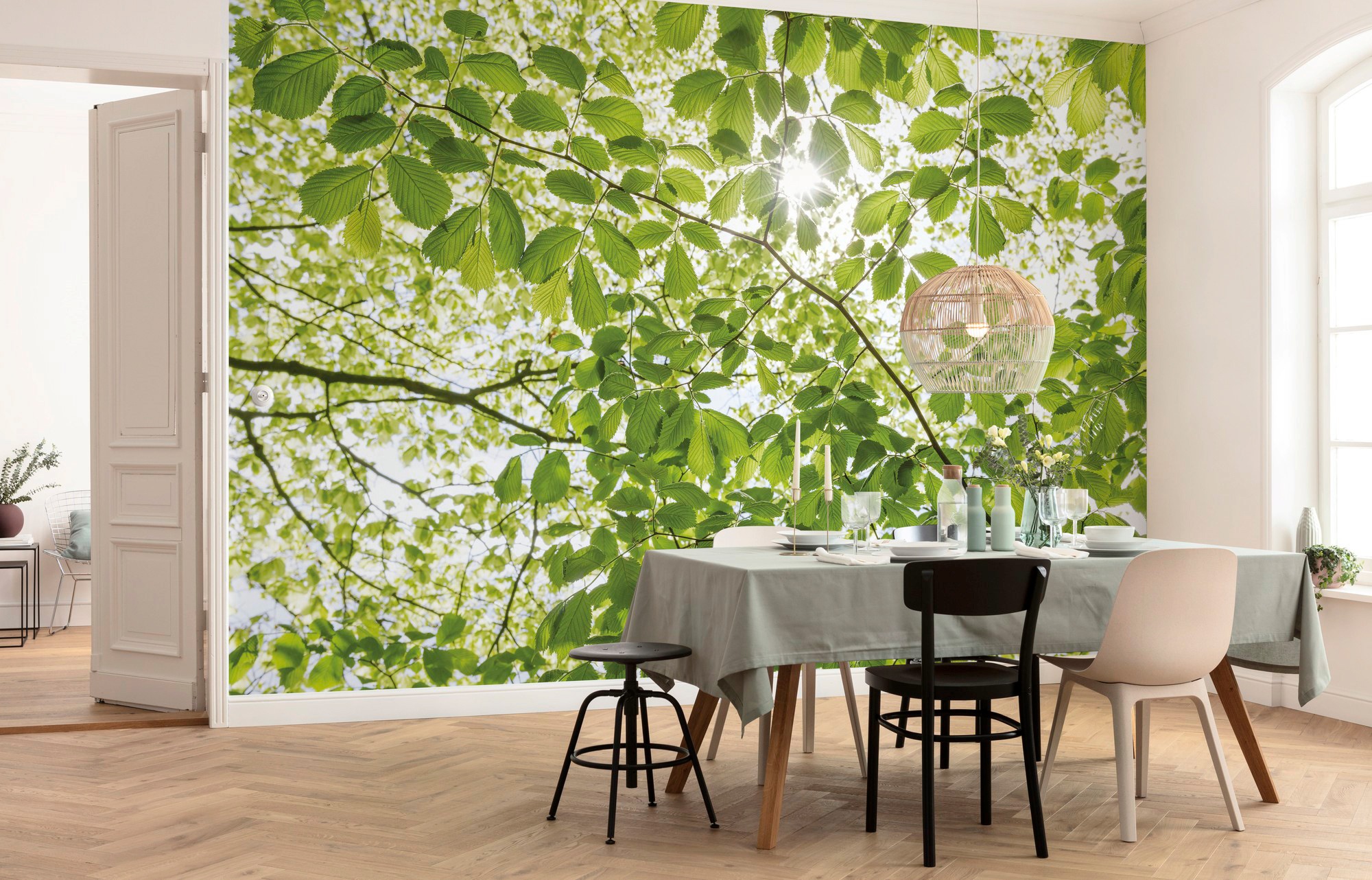 Komar Vliestapete »Digitaldruck Vlies -  Im Frühlingswald - Größe 450 x 280 cm« bedruckt glatt Wohnzimmer, Schlafzimmer