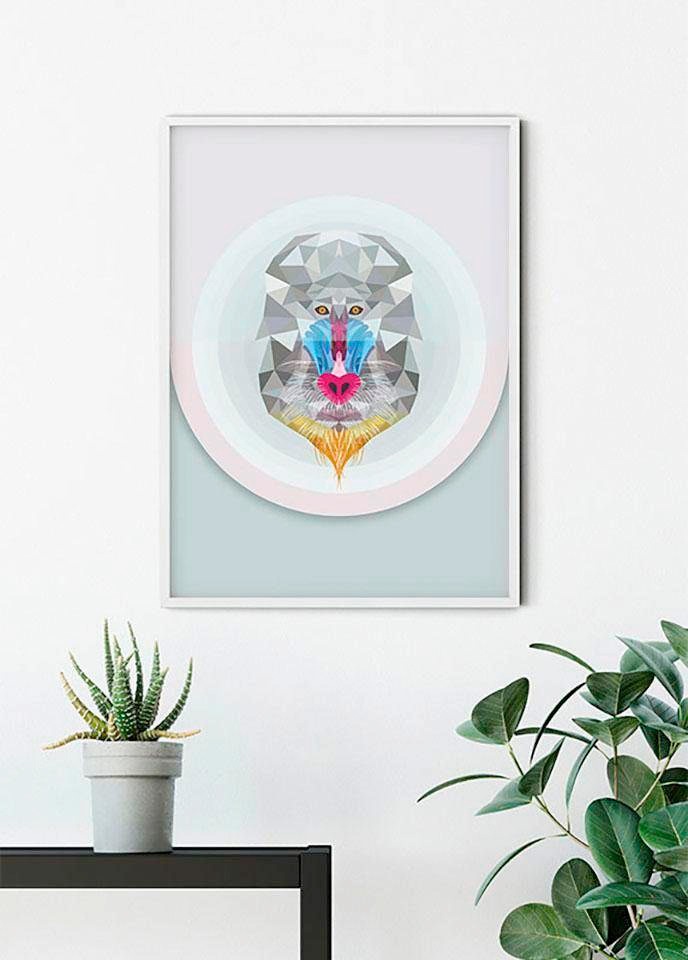 Komar Bild »Baboon« Tiere 1 Stk. tlg. Wandbild zur Dekoration - ohne Rahmen