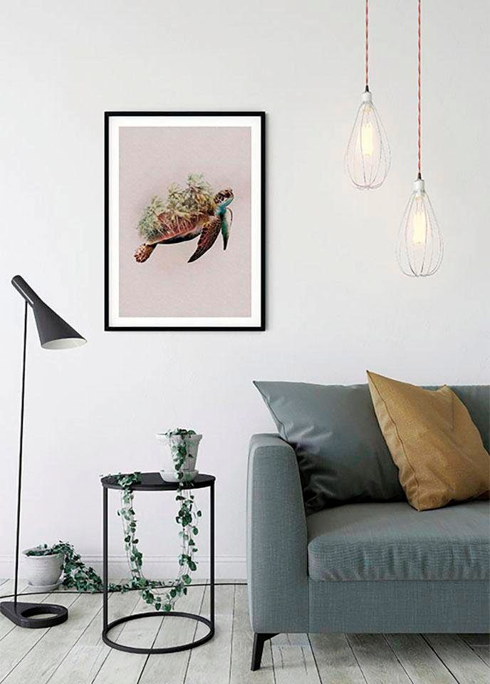 Komar Poster »Animals Paradise Turtle«, Tiere, (1 St.), Kinderzimmer,  Schlafzimmer, Wohnzimmer online kaufen | mit 3 Jahren XXL Garantie