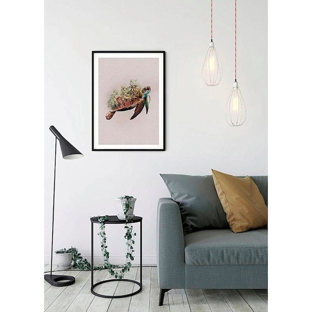 Komar Poster »Animals Paradise Turtle«, Tiere, (1 St.), Kinderzimmer,  Schlafzimmer, Wohnzimmer online kaufen | mit 3 Jahren XXL Garantie