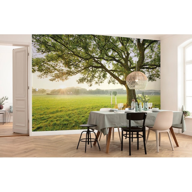 Komar Fototapete »The Magic Tree«, mehrfarbig-natürlich-bedruckt, 450x280  cm (Breite x Höhe), Wohnzimmer, Schlafzimmer online kaufen | mit 3 Jahren  XXL Garantie