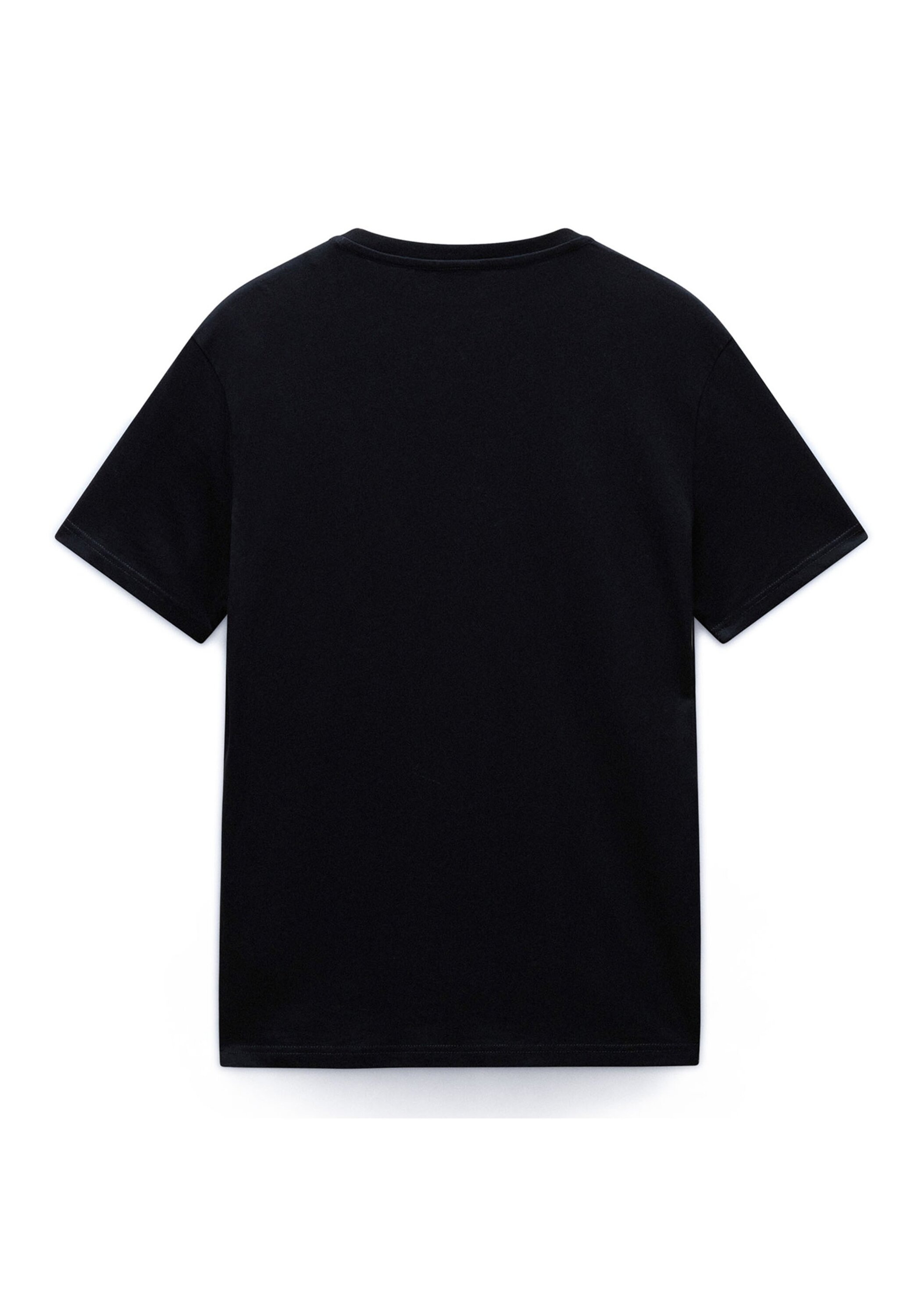 Napapijri T-Shirt »T-Shirt SALIS Small Flag 1er Pack«