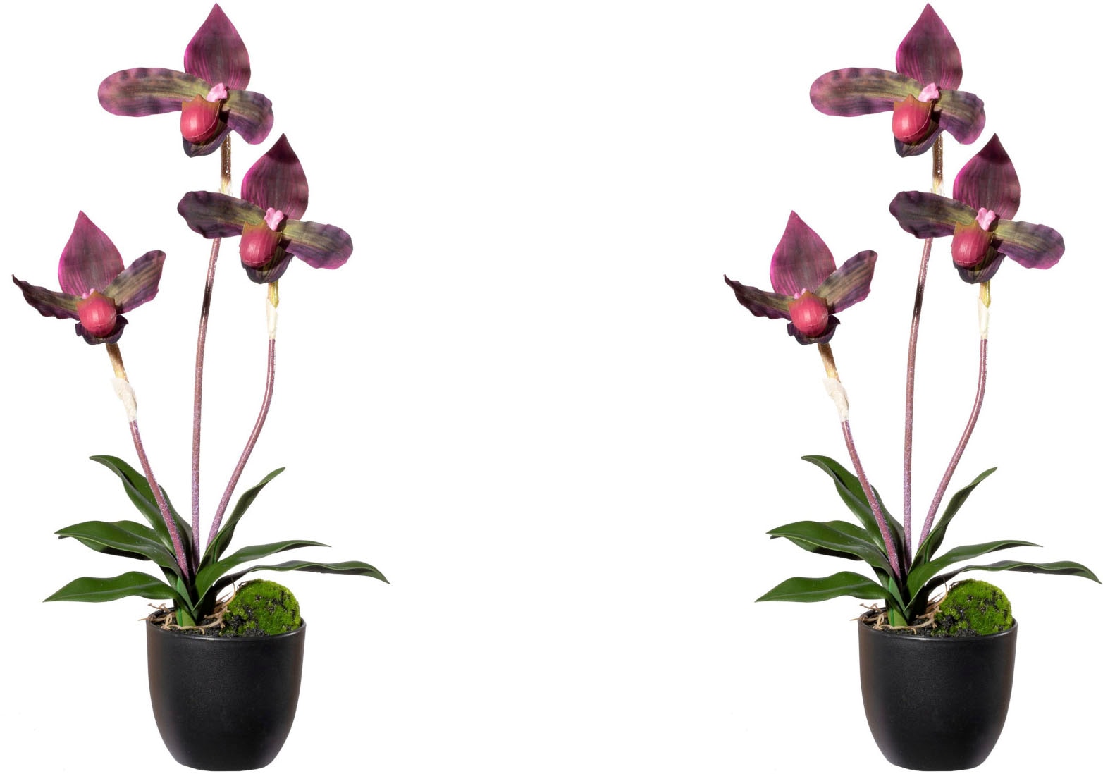 Creativ green Kunstorchidee »Orchidee Frauenschuh«, mit Real-Touch-Blüten