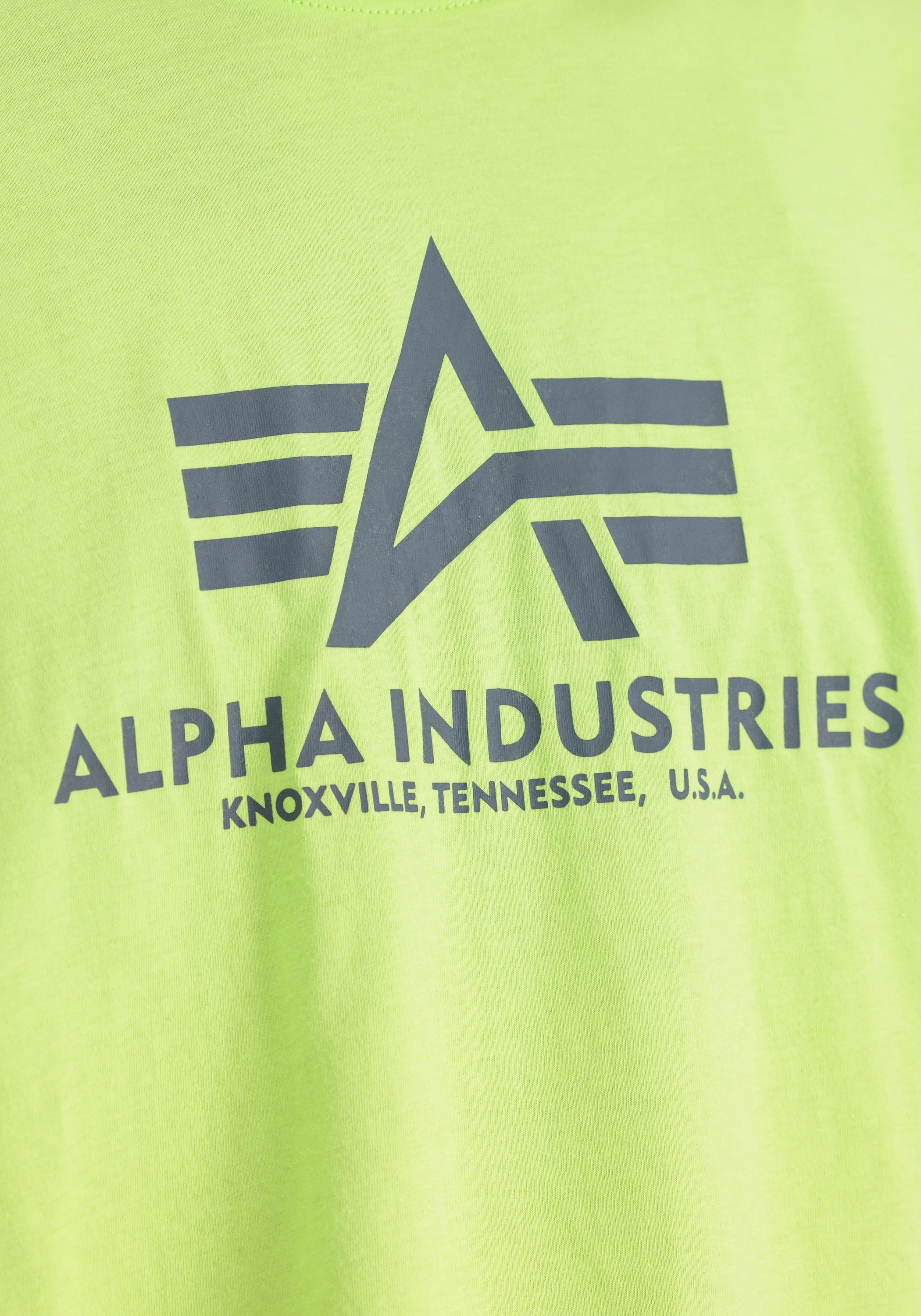 Alpha Industries T-Shirt »Basic T-Shirt BL«