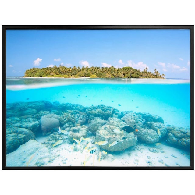Wall-Art Poster »Unterwasserwelt Malediven«, Meer, (1 St.), Poster, Wandbild,  Bild, Wandposter auf Raten bestellen