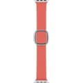 Apple Smartwatch-Armband, MY622ZM/A