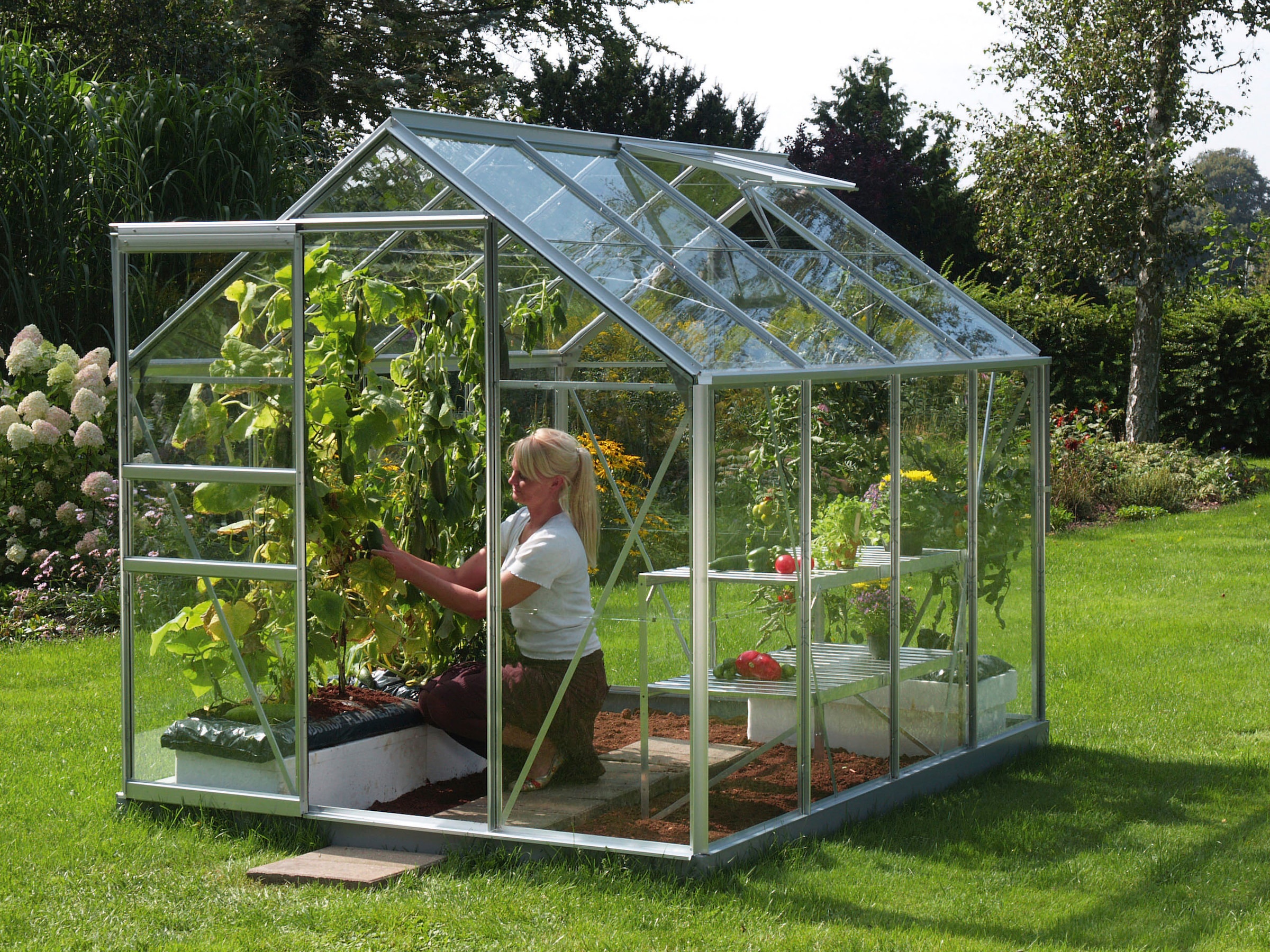 Vitavia Gewächshaus »Venus 5000«, Alu-Profile, 3 mm Einscheibensicheheitsglas kaufen