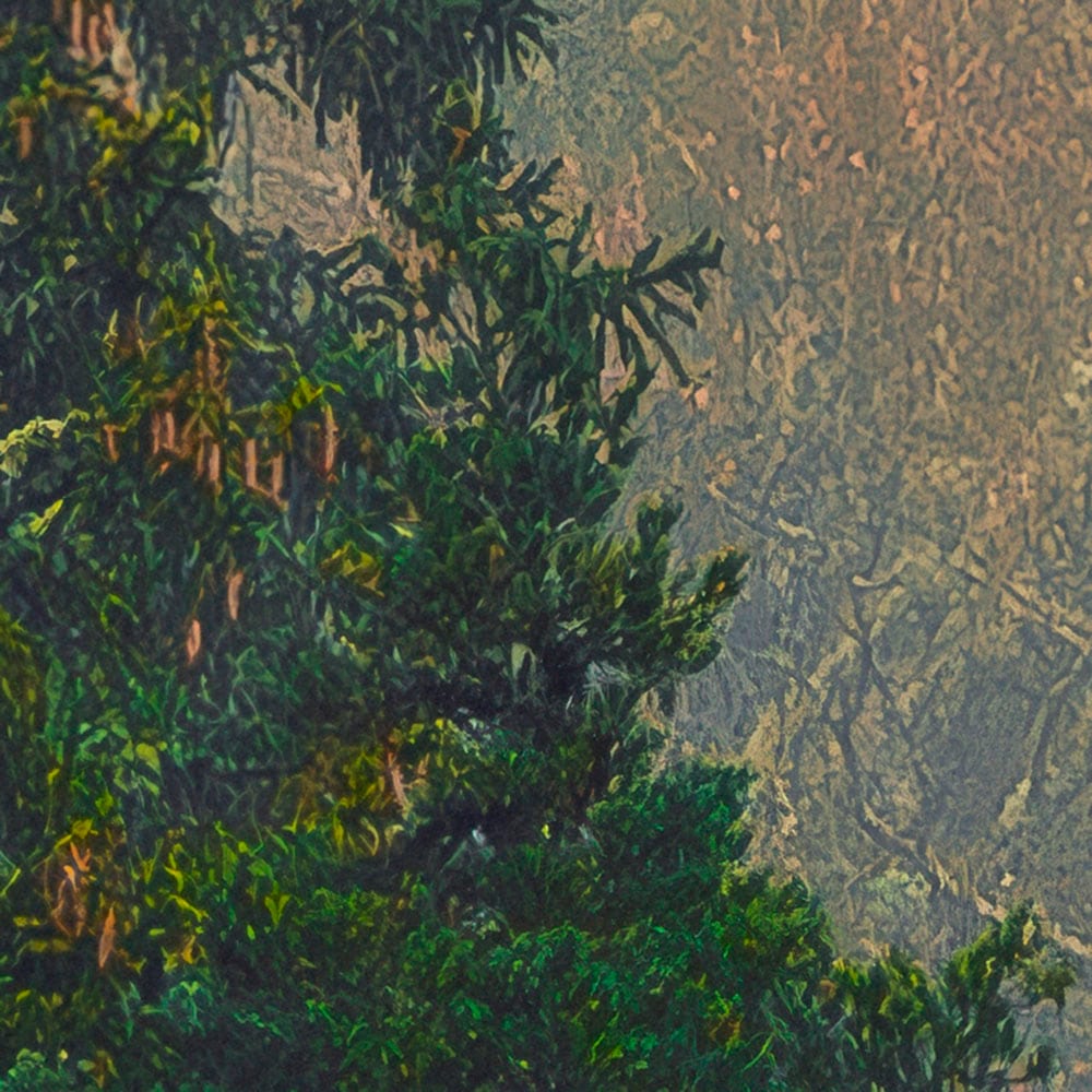 Komar Fototapete »Vlies Fototapete - Mystical Firs - Größe 400 x 250 cm« Motiv | bedruckt glatt