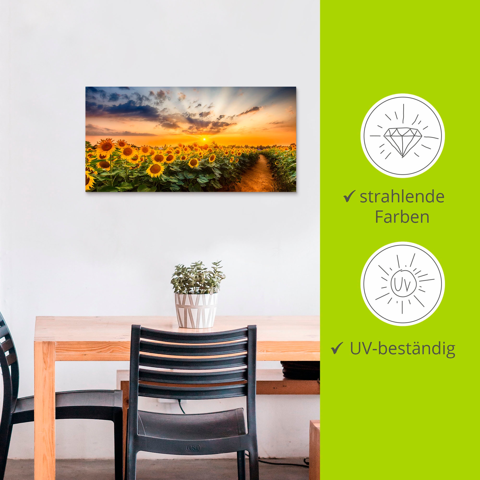 Artland Wandbild »Sonnenblumenfeld bei Sonnenuntergang«, Blumenbilder, (1 St.), als Alubild, Outdoorbild, Leinwandbild, Poster in verschied. Größen