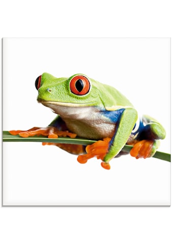Glasbild »Frosch auf einem Blatt«, Wassertiere, (1 St.)