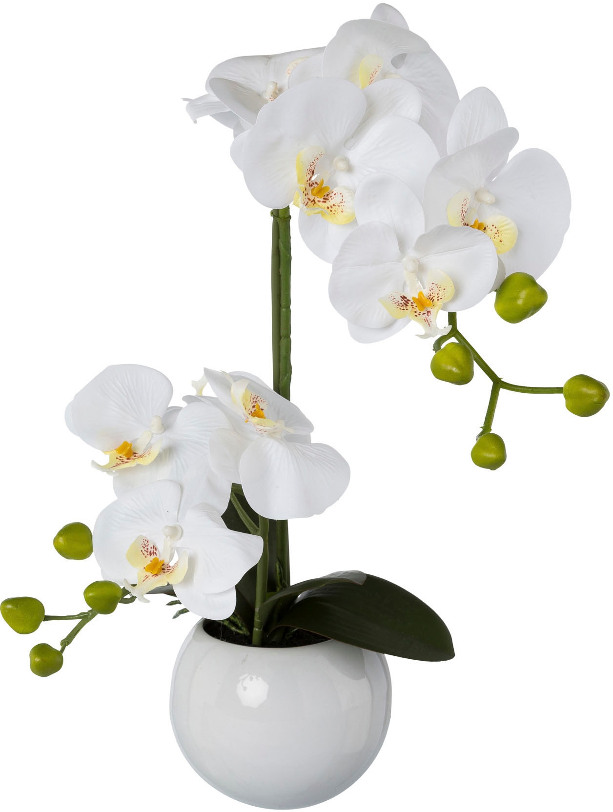 Creativ green Kunstorchidee »Phalaenopsis«, bestellen Keramiktopf Raten im auf