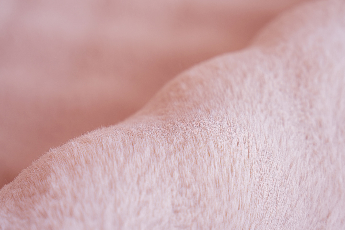 Padiro Teppich »Hailey 125« rechteckig 30 mm Höhe Softtouch