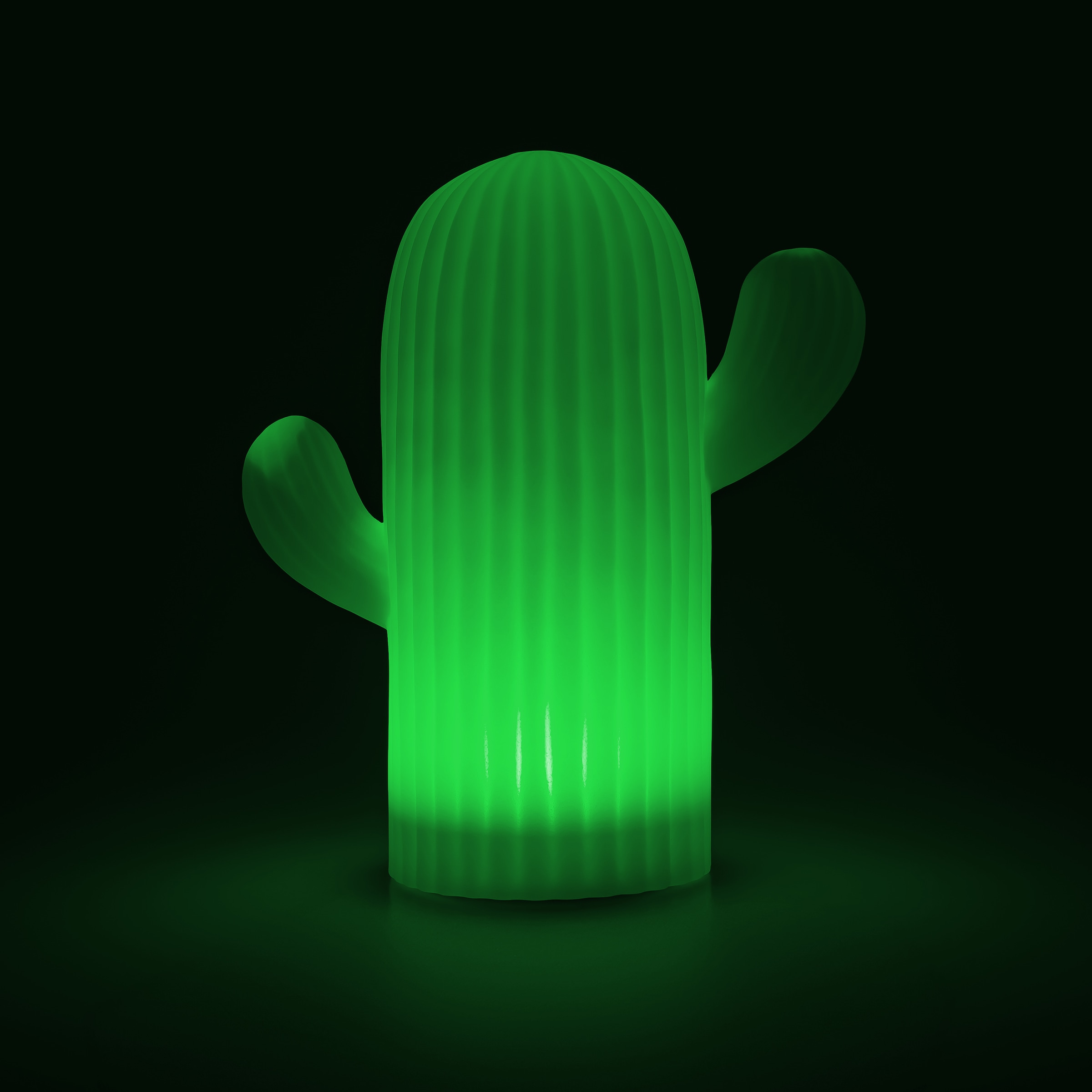 my home LED Solarleuchte »Elowyn, LED-Solar Kaktus« LED-Modul 1 Stk. RGB | Warmweiß mit Erdspieß und Fernbedienung