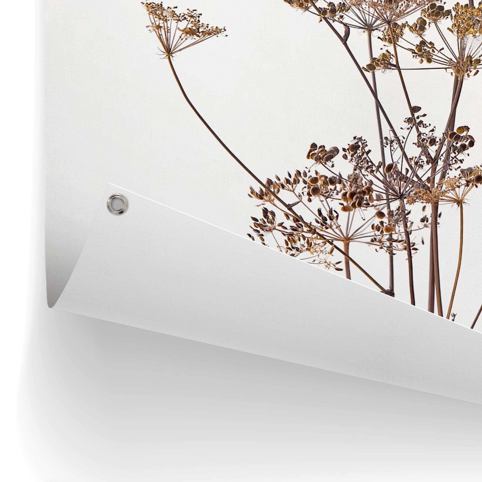 Reinders! Poster »Bärenkralle« Garten - Natur - Beige - Leinwand - Blumen und Pflanzen - 60x80 cm