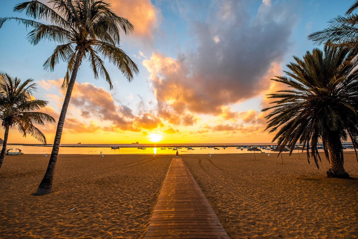 Fototapete »Santa Cruz Beach«