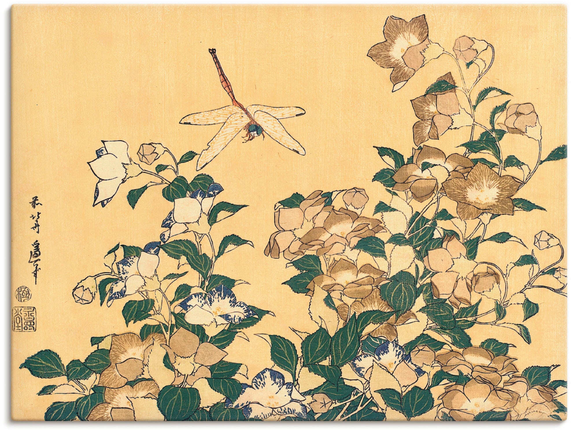 Wandbild »Chinesische Glockenblume und Libelle«, Blumen, (1 St.), als Leinwandbild,...