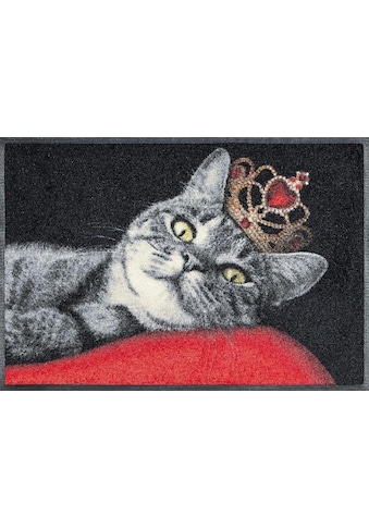 wash+dry by Kleen-Tex Fußmatte »Royal Cat«, rechteckig, 7 mm Höhe, Schmutzfangmatte,... kaufen