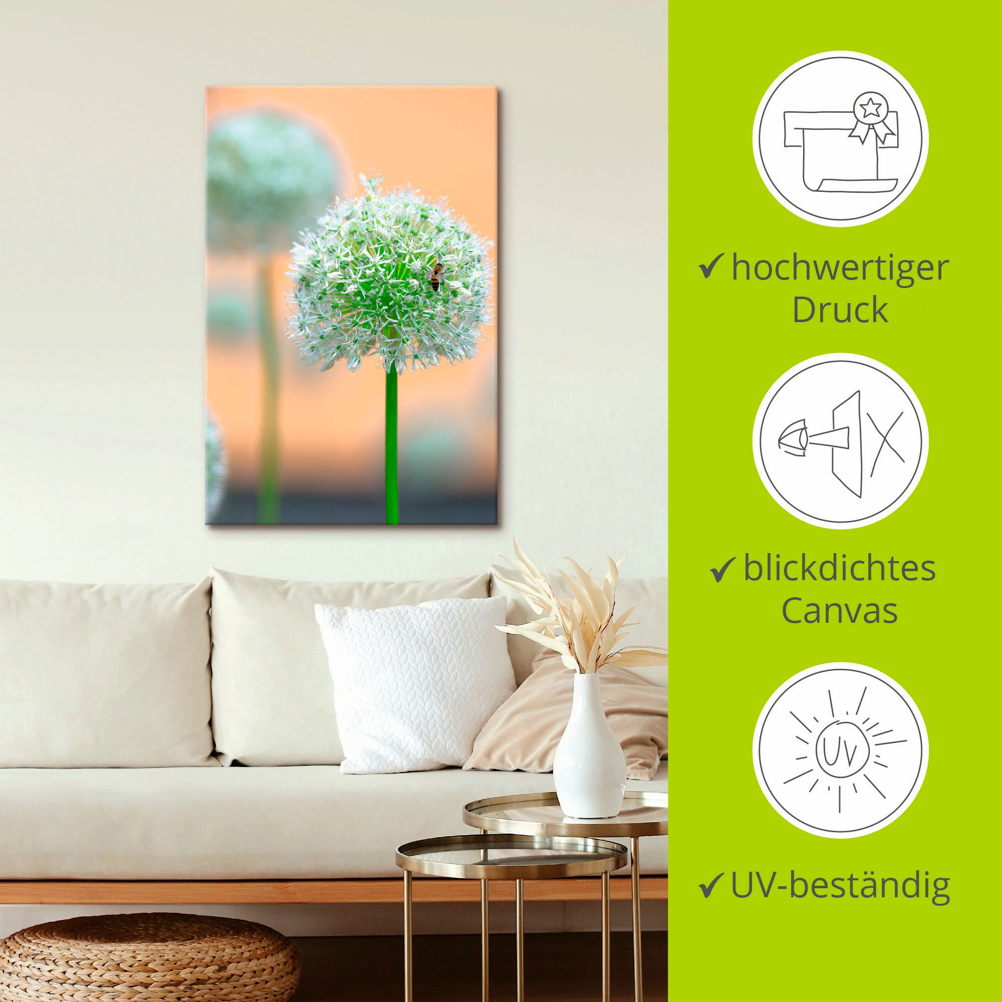 Artland Leinwandbild »Großer Allium in Pastell« Blumen 1 Stk. tlg. auf Holzrahmen gespannt