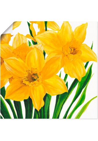 Artland Wandbild »Gelbe Narzissen«, Blumen, (1 St.), als Alubild, Leinwandbild,... kaufen