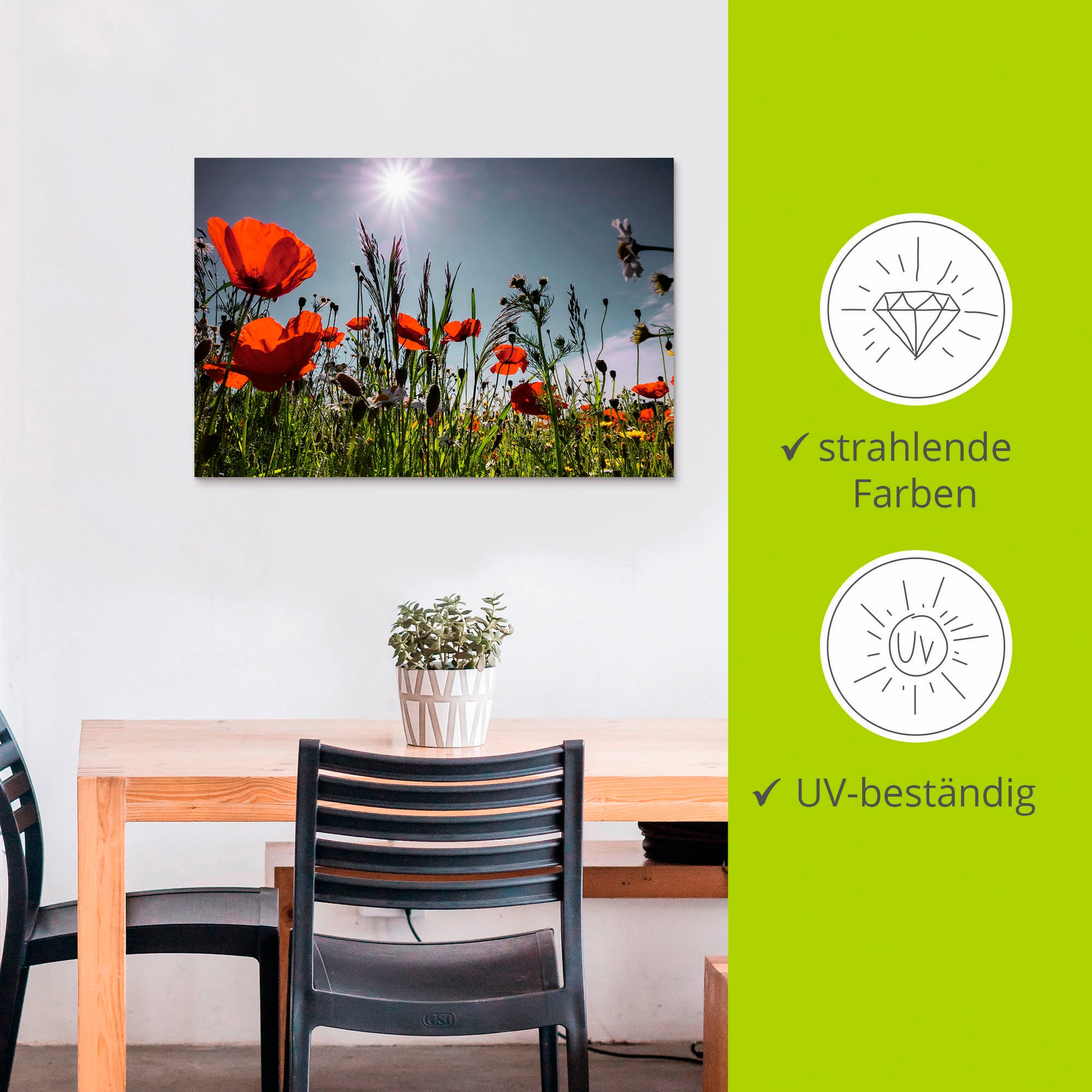 Artland Alu-Dibond-Druck »Mohnblumenwiese« Blumenwiese 1 Stk. tlg. für Innen- und Außenbereich geeignet, Outdoorbild