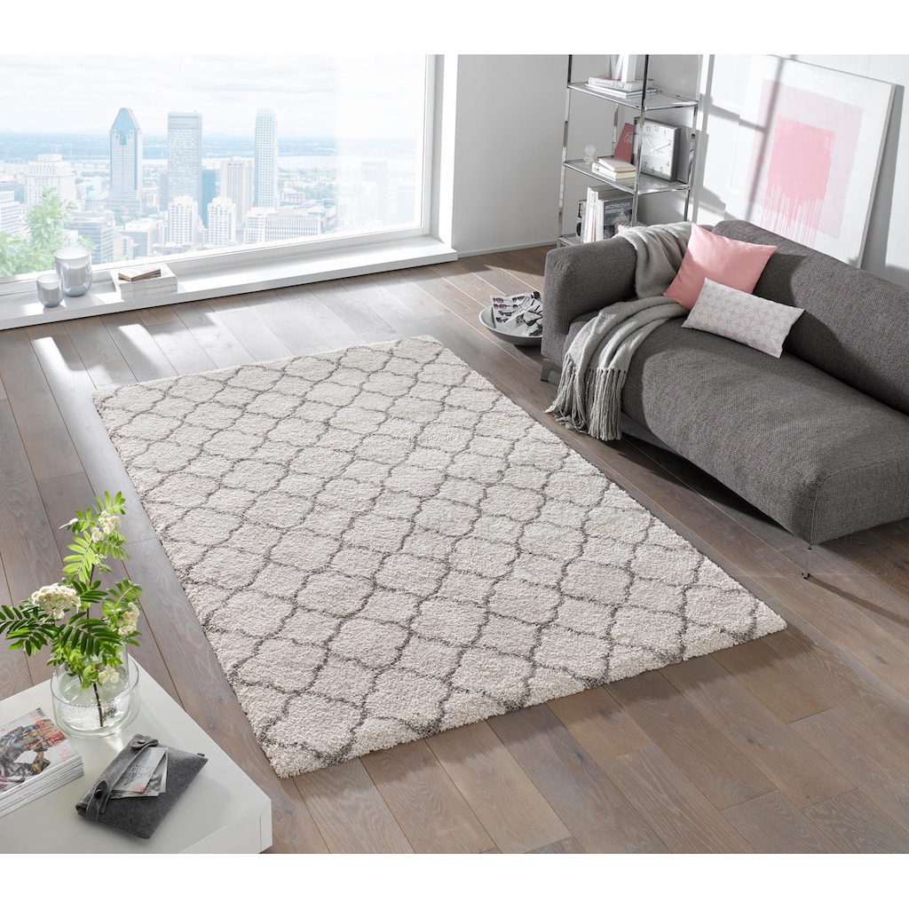 HANSE Home Hochflor-Teppich »Luna«, rechteckig